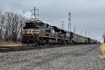 NS 1117 on 11K